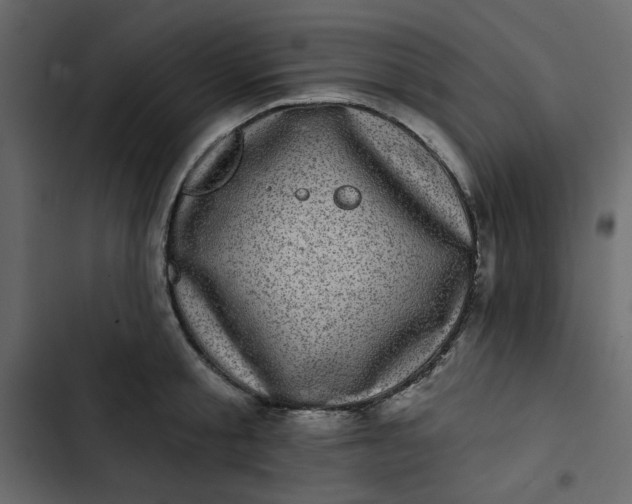 X0000102830805200809021312