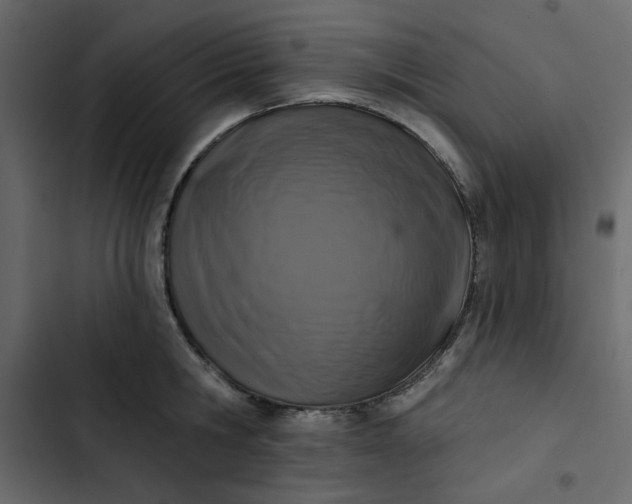 X0000102830806200809021312