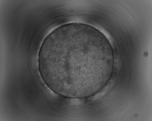 X0000102830807200809021312