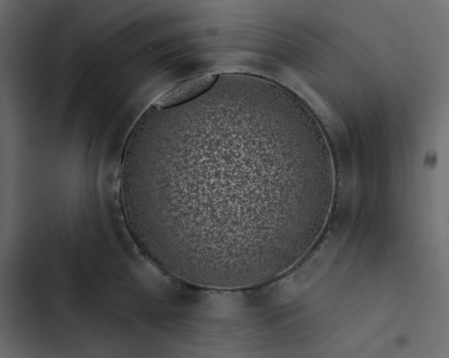 X0000102830809200809021312