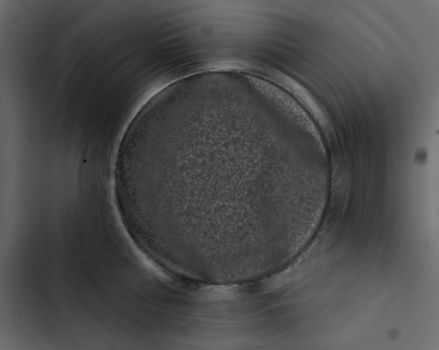 X0000102830810200809021312