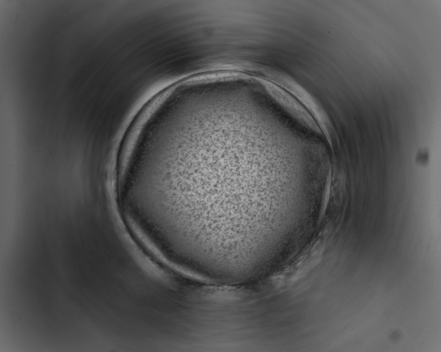 X0000102830811200809021312