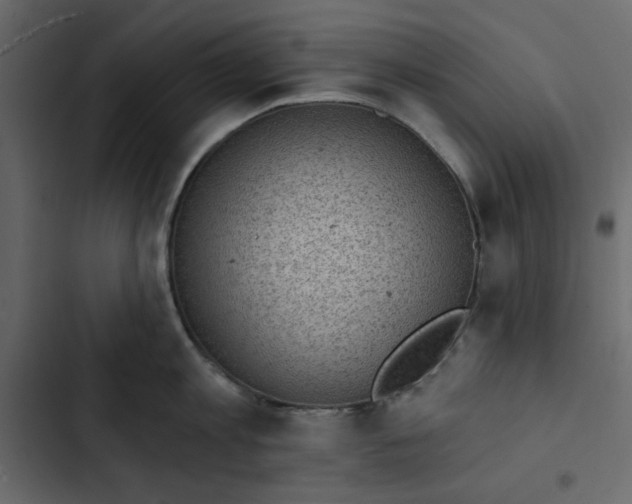 X0000102830813200809021312