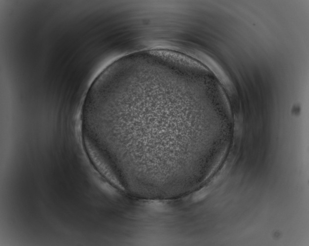 X0000102830814200809021312