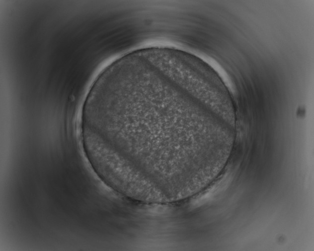 X0000102830815200809021312