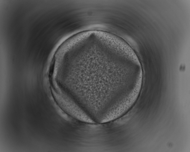 X0000102830816200809021312