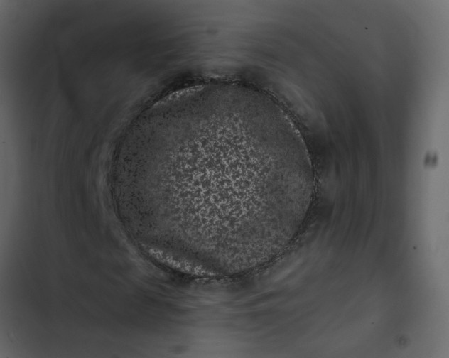 X0000102830817200809021311