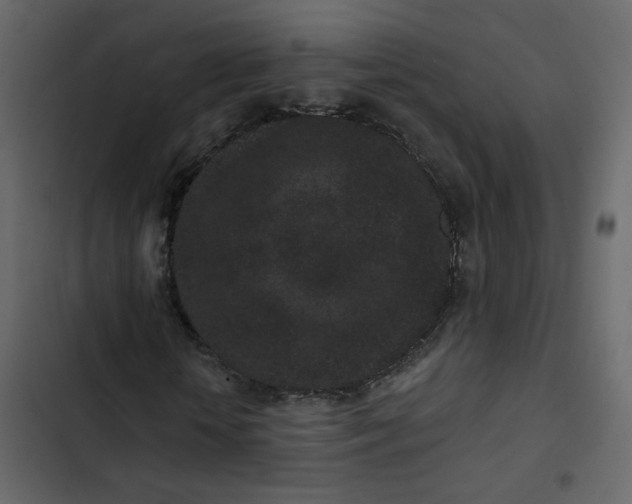 X0000102830818200809021311