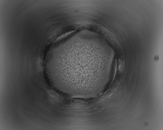 X0000102830819200809021311