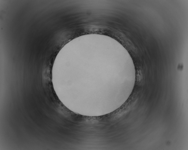 X0000102830820200809021311