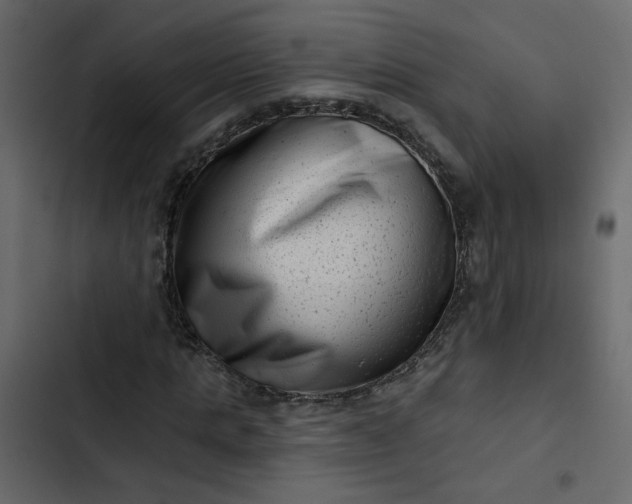 X0000102830821200809021311