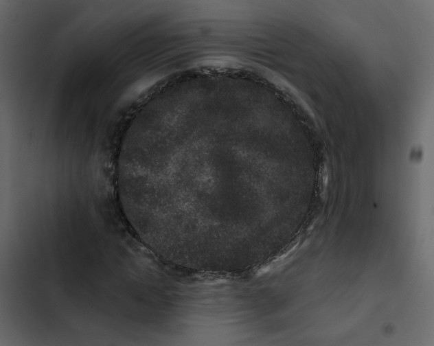 X0000102830822200809021311