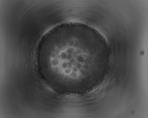 X0000102830823200809021311