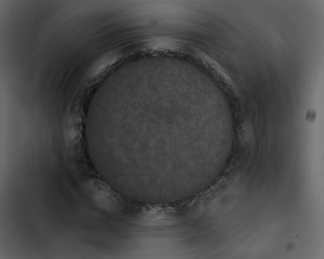 X0000102830824200809021311