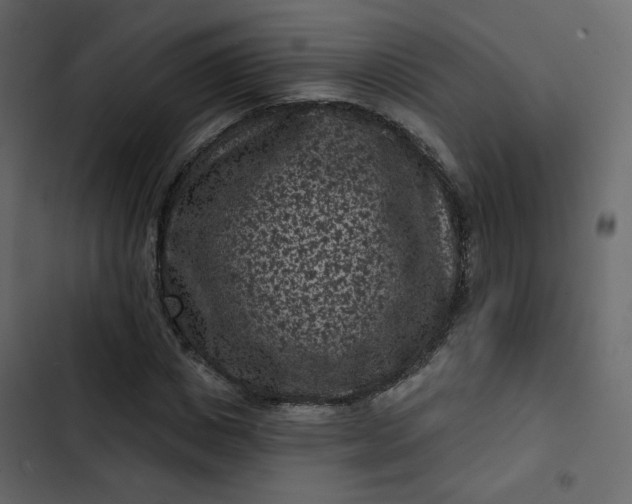 X0000102830825200809021311