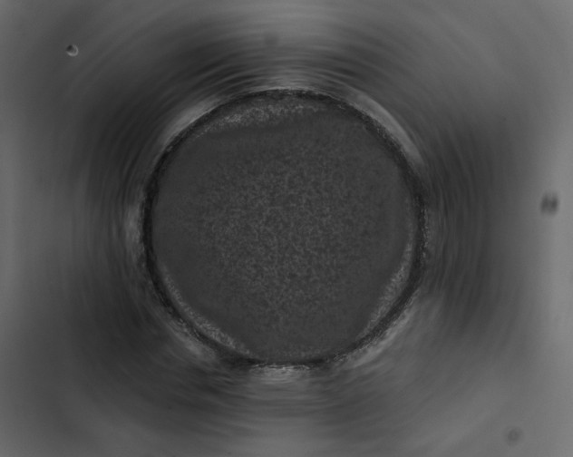 X0000102830826200809021311