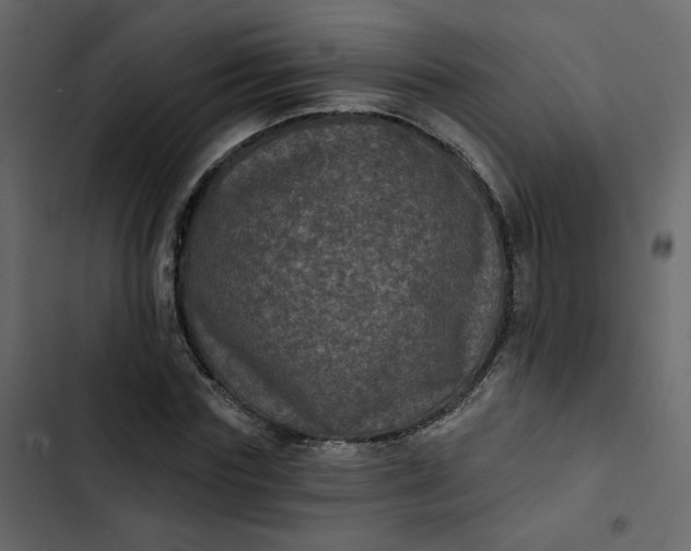 X0000102830827200809021311