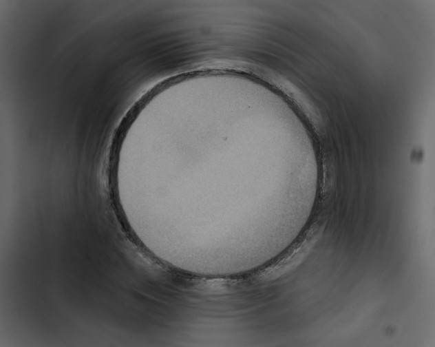 X0000102830828200809021311