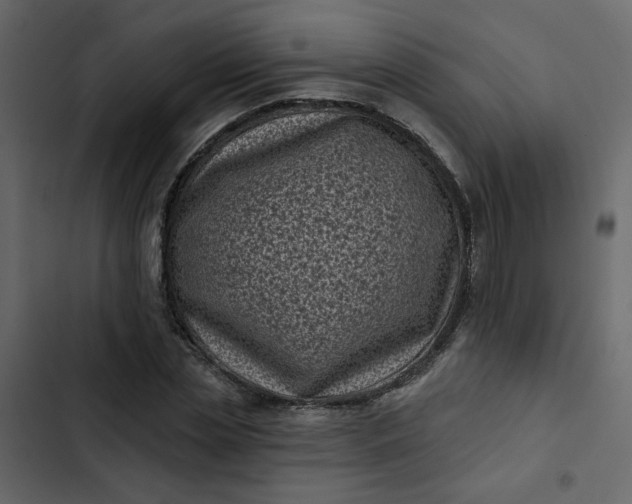 X0000102830829200809021311