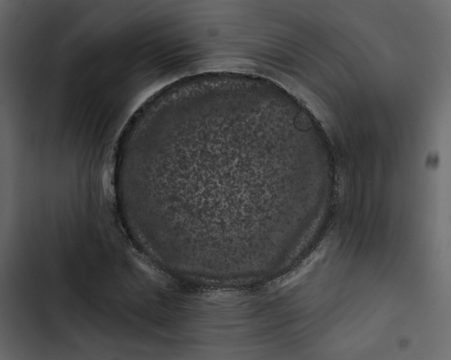 X0000102830830200809021311