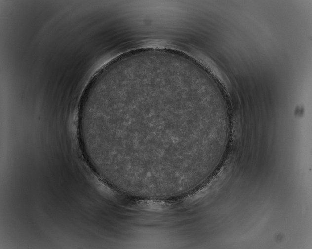 X0000102830831200809021311