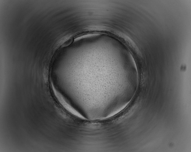 X0000102830833200809021311