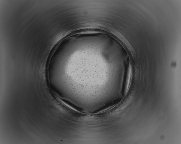 X0000102830834200809021311