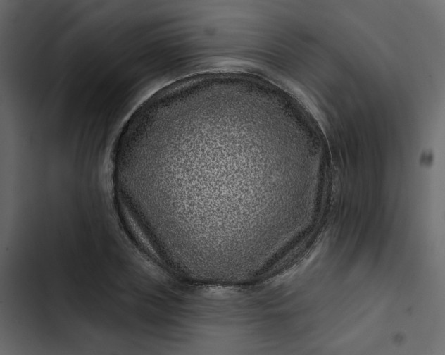 X0000102830835200809021311