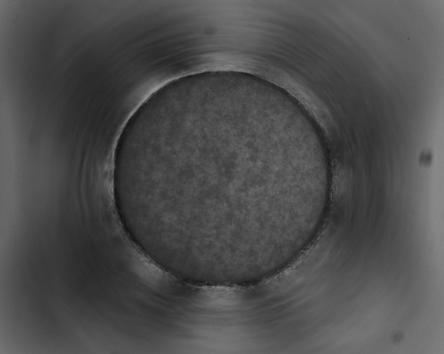 X0000102830836200809021311