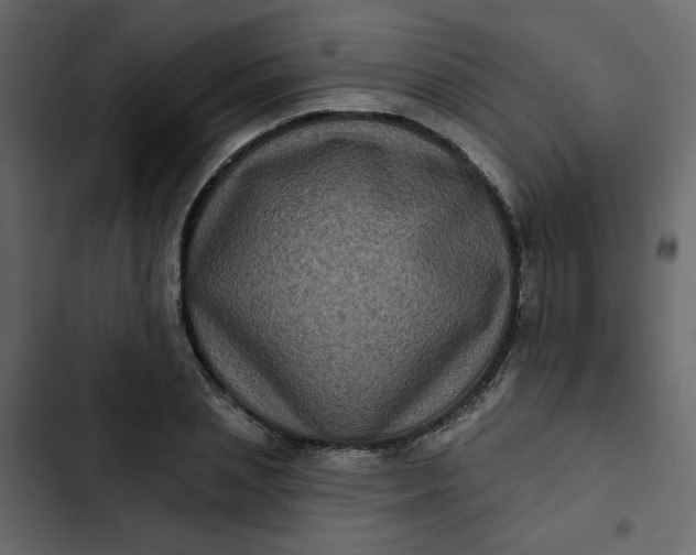 X0000102830837200809021311