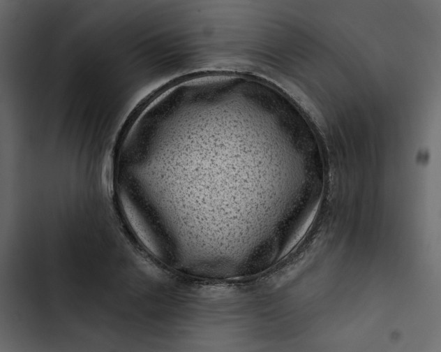 X0000102830838200809021311