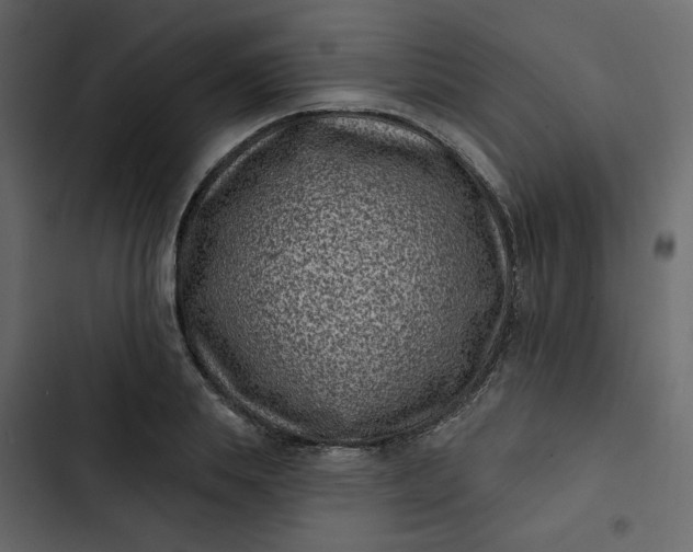 X0000102830839200809021312