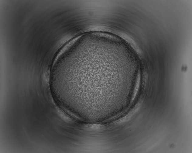 X0000102830841200809021312