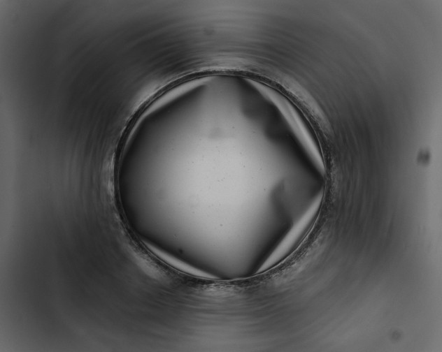 X0000102830842200809021312