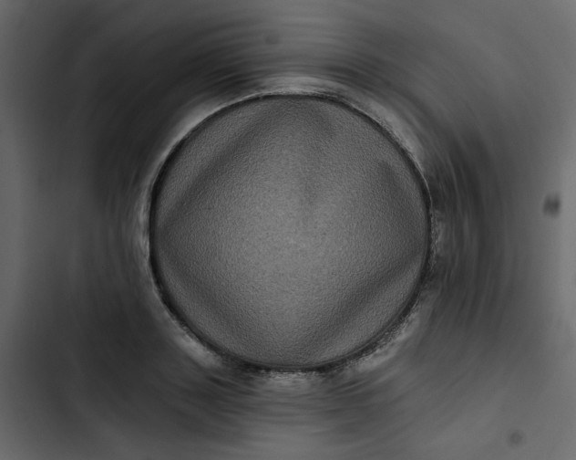 X0000102830843200809021312