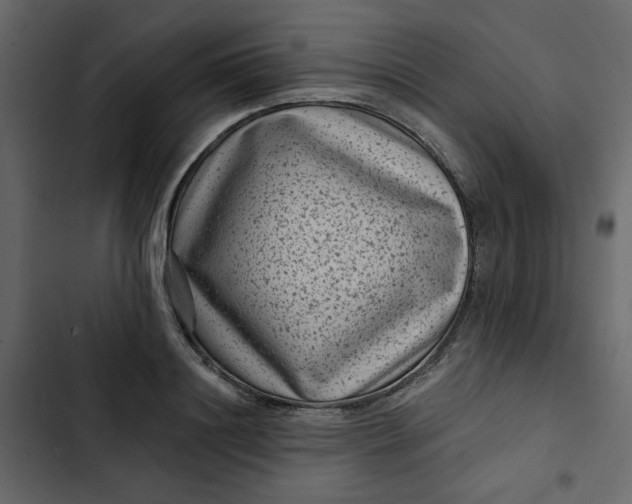 X0000102830844200809021312