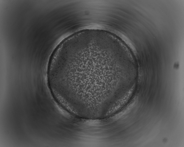 X0000102830845200809021312