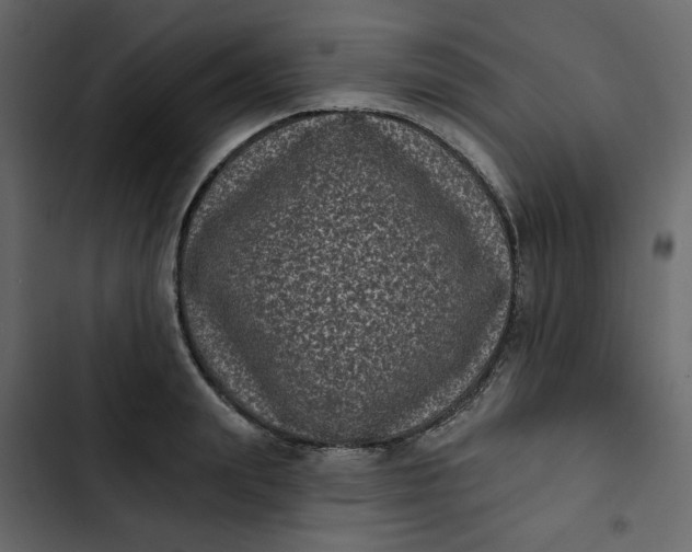 X0000102830847200809021312