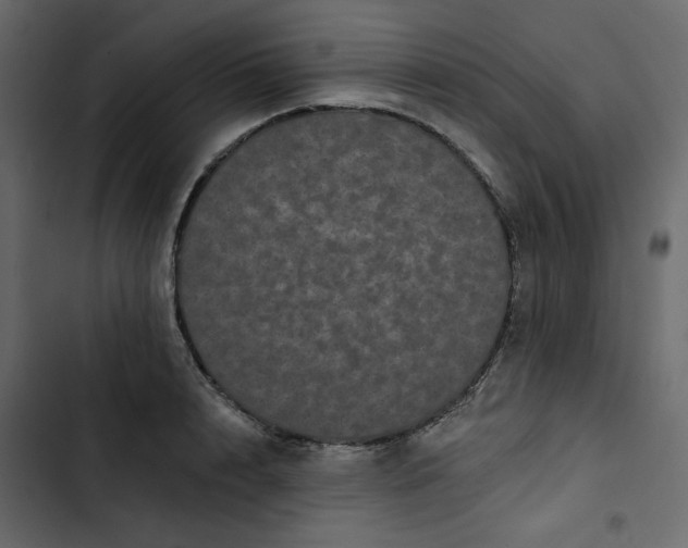 X0000102830848200809021312