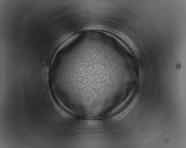 X0000102830849200809021312