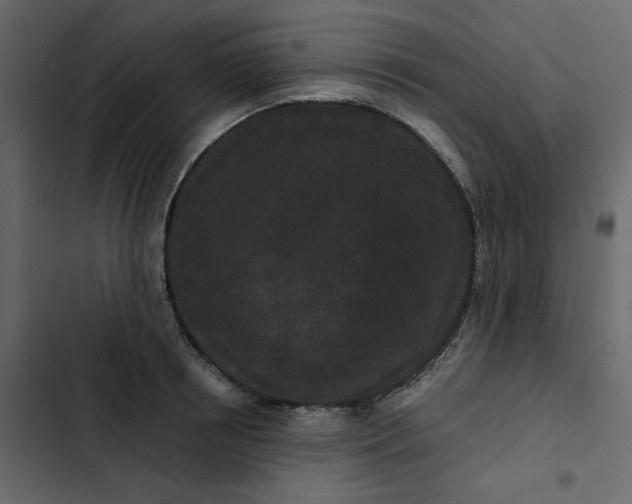 X0000102830850200809021312