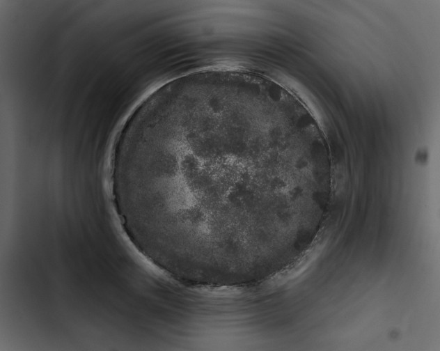 X0000102830851200809021312