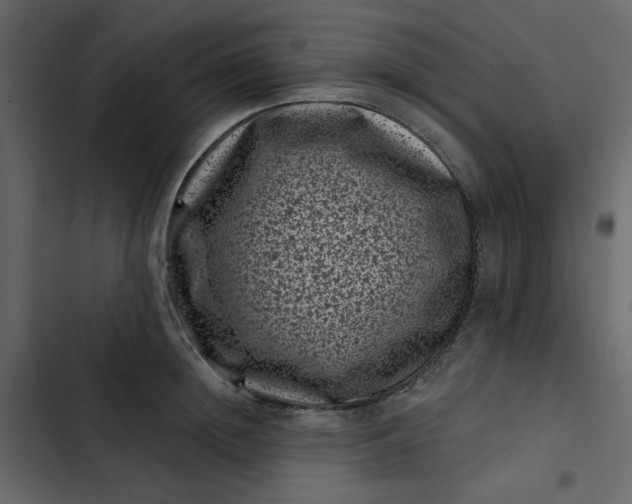 X0000102830852200809021312