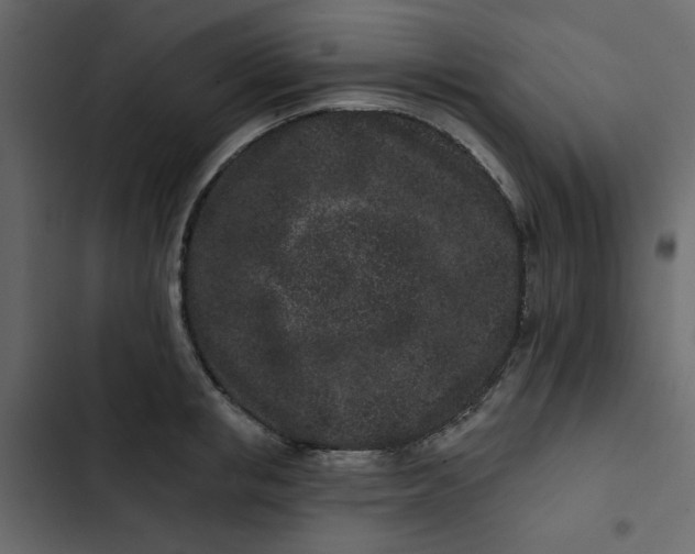 X0000102830853200809021312