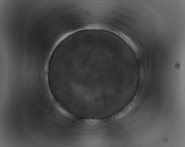 X0000102830854200809021312