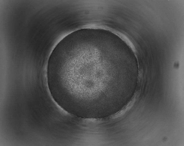 X0000102830855200809021312