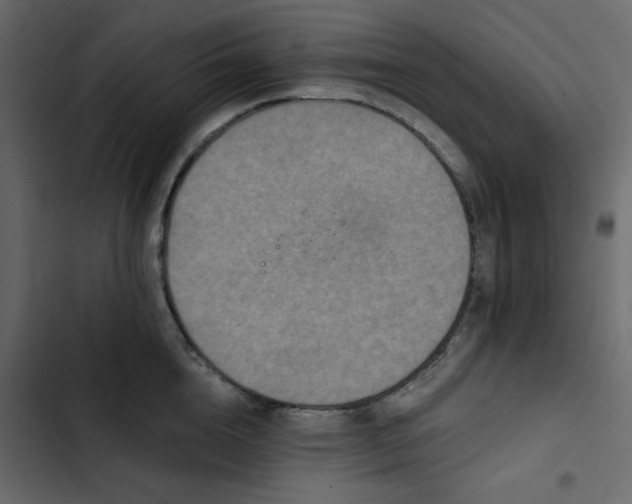 X0000102830856200809021312