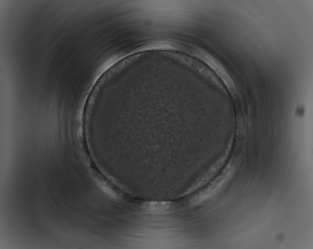 X0000102830858200809021312