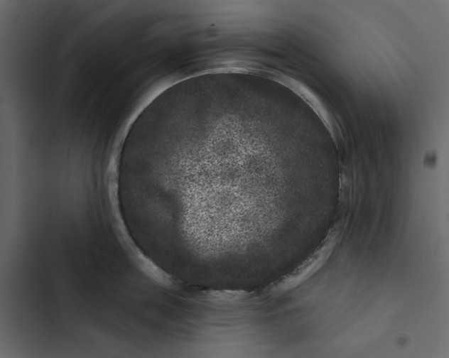 X0000102830859200809021312