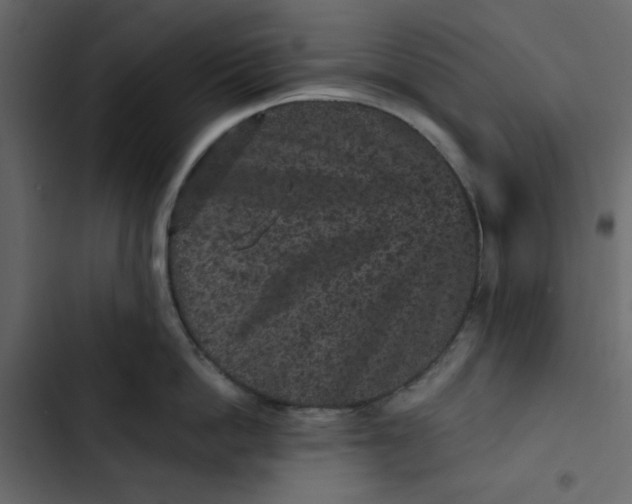 X0000102830862200809021312